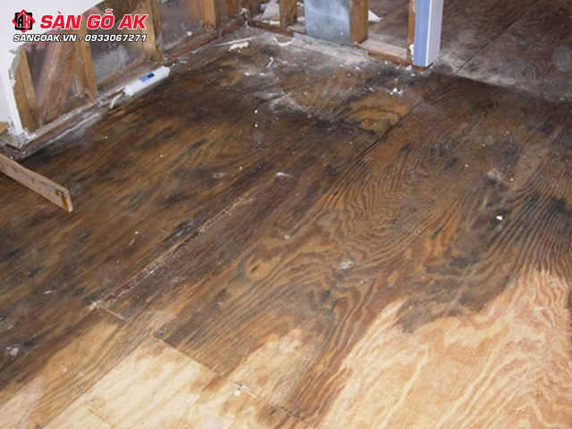 Sàn gỗ công nghiệp bị ngập nước gây hư hỏng, giảm chất lượng sàn nhà
